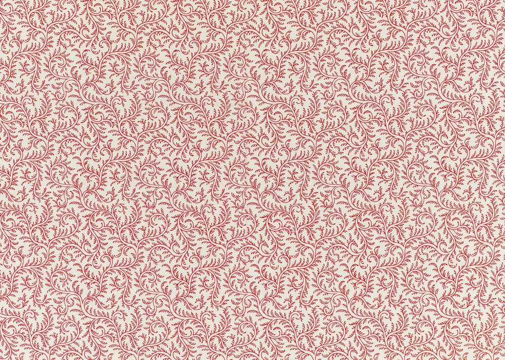 Braquenie Le Grand Corail Vermicule Positif Rose Ancien Fabric Sample B1886001