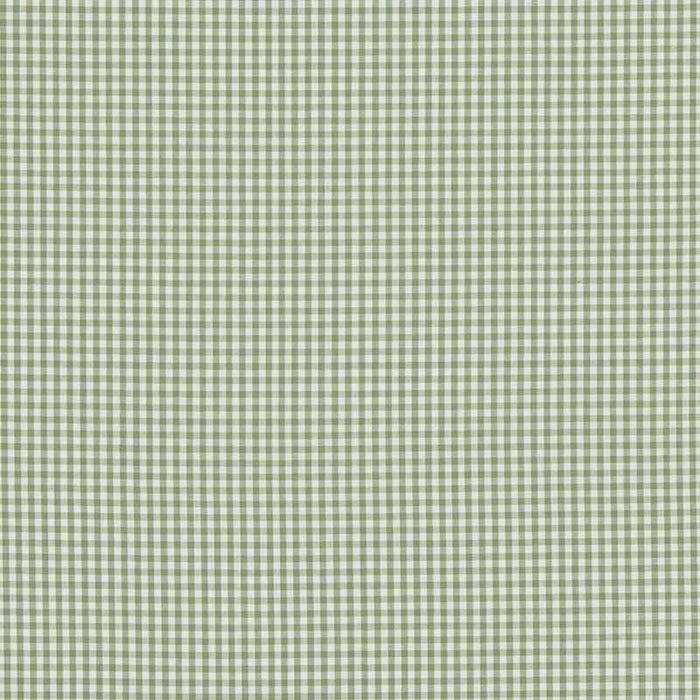 Baker Lifestyle Sherborne Gingham Green Fabric Sample PF50506.735.0