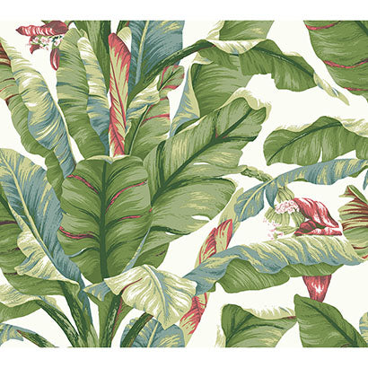 York Banana Leaf White & Green Wallpaper PSW1034RL