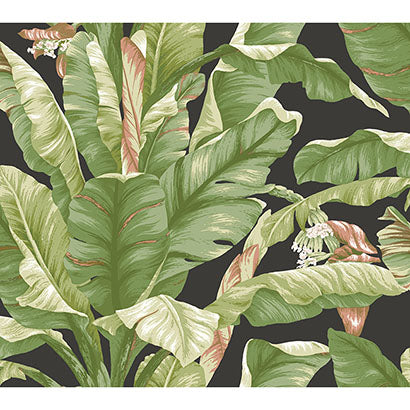 York Banana Leaf Black & Green Sample PSW1035RL