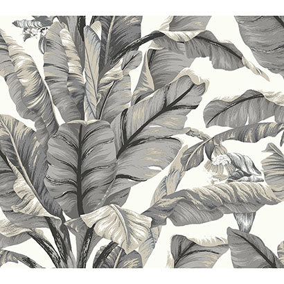 York Banana Leaf White & Black Wallpaper PSW1037RL