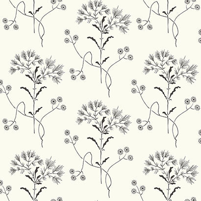 Magnolia Home Magnolia Home Wildflower Black & White Wallpaper PSW1153RL