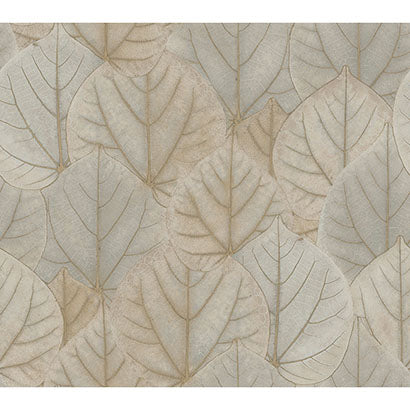 York Leaf Concerto Warm Taupe Wallpaper PSW1425RL