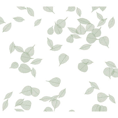 York Inner Peace Sage Wallpaper PSW1564RL