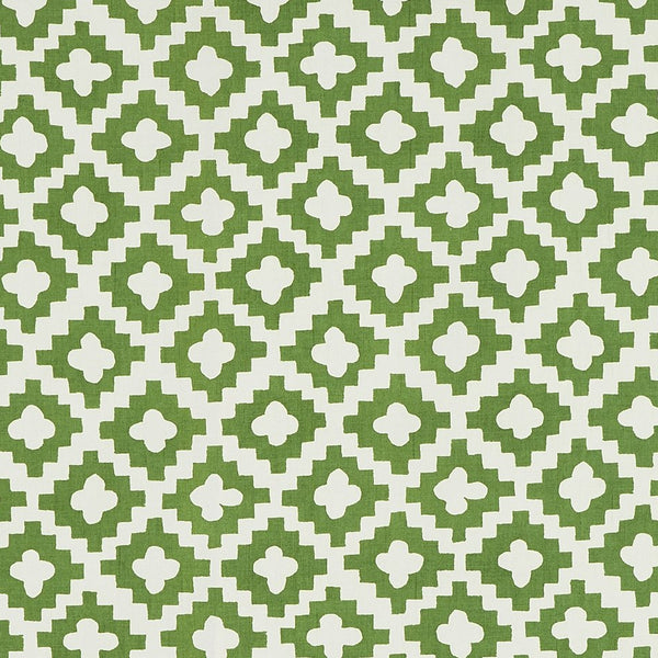 Peter Dunham Peterazzi - Outdoor Green Fabric Sample 139PRZ01