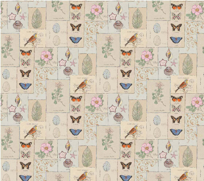 Pierre Frey Bel Ami Pastel Wallpaper Sample FP321001