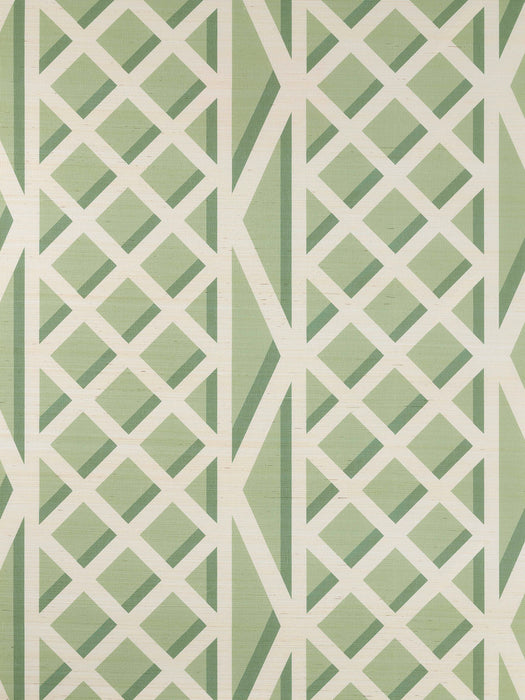 Pierre Frey Treillage Vert Wallpaper Sample FP769003