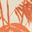 China Seas Martinique New Shrimp Fabric 4020-02