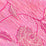 China Seas Flores Ii Magenta Cream Fabric Sample 4060CU-05