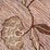 China Seas Flores Ii Brown Cream Fabric Sample 4060CU-09