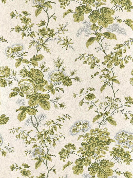 Braquenie Ursuline Vert Wallpaper Sample BP362004