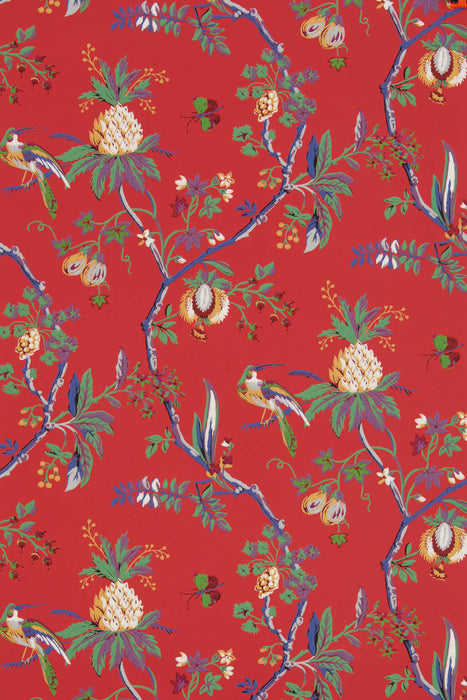 Braquenie La Comedie Rouge Wallpaper BP328004