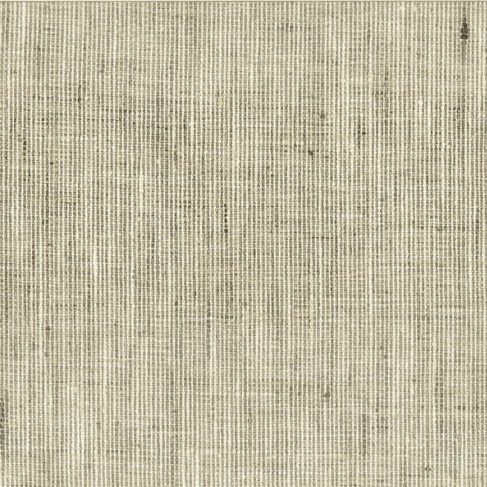 Stout Rembrandt 1 Nickel Fabric Sample REMB-1