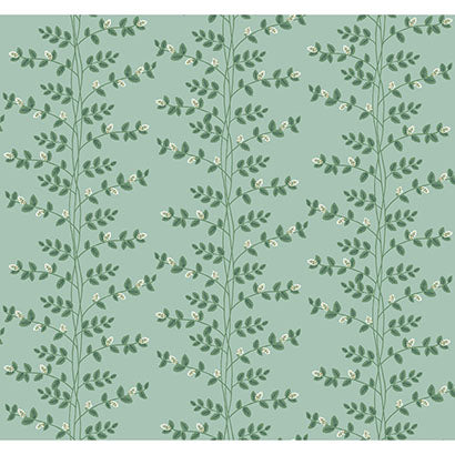 Rifle Paper Co Climbing Vine Soft Teal Wallpaper RF7421