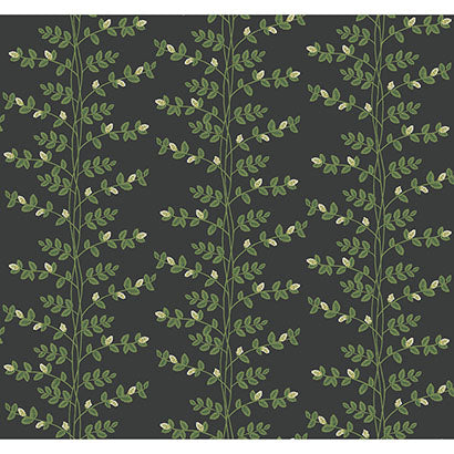 Rifle Paper Co Climbing Vine Black Wallpaper RF7422