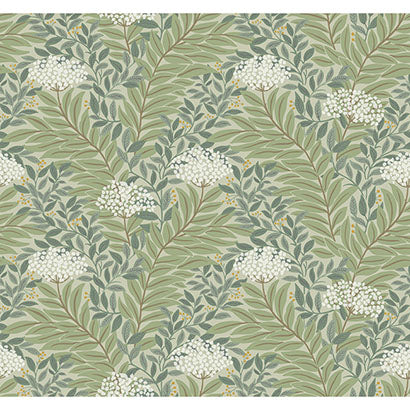 Rifle Paper Co Highgrove Sage Wallpaper RF7503