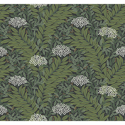 Rifle Paper Co Highgrove Black Wallpaper RF7504