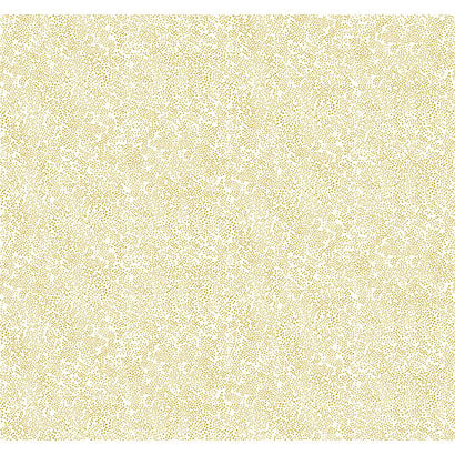 Rifle Paper Co Champagne Dots Gold & White Wallpaper RI5112