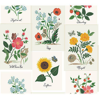 Rifle Paper Co Botanical Prints White & Pink Sample RP7334