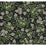 Rifle Paper Co Cornflower Black & Green Sample RP7384