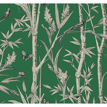 York Bambou Toile Green Wallpaper RT7831