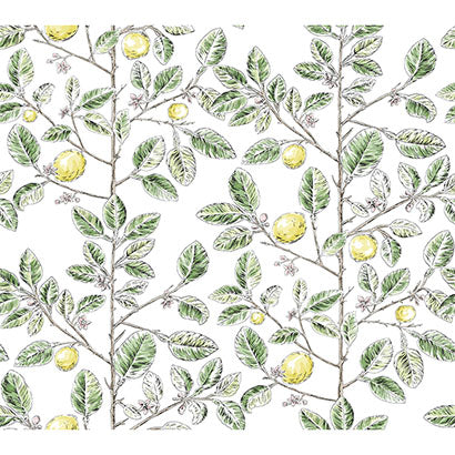 York Limoncello Toile Green Wallpaper RT7911