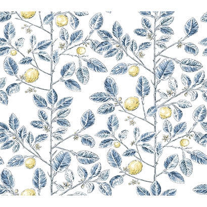 York Limoncello Toile Blue Wallpaper RT7913