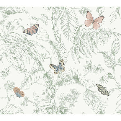 York Papillon Blush Wallpaper RT7930