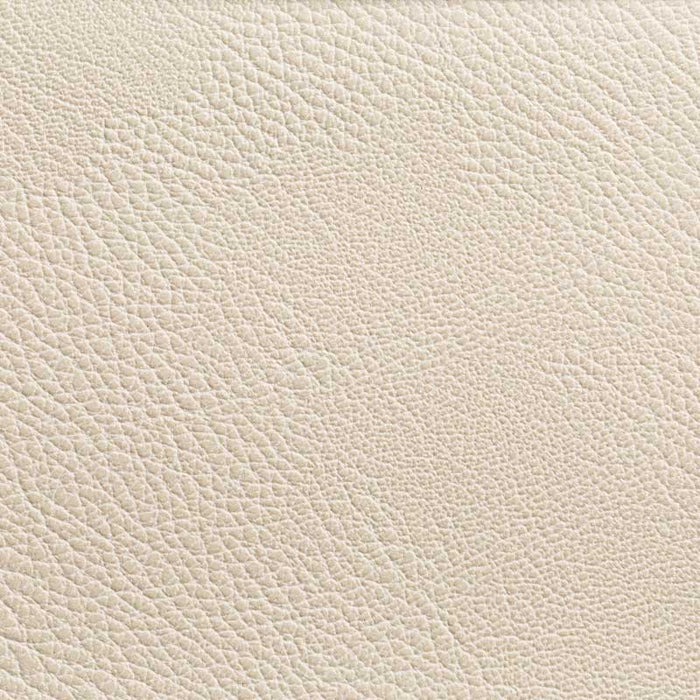 Kravet Contract Rustler Gypsum Fabric Sample RUSTLER.111.0