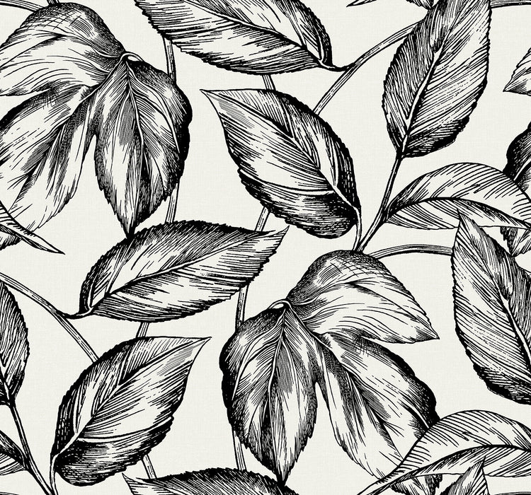 Seabrook Designs Beckett Sketched Leaves Volcanic Black Wallpaper SC20000