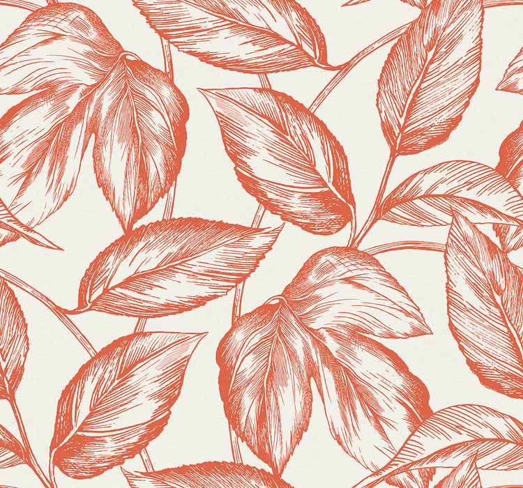 Seabrook Designs Beckett Sketched Leaves Rich Coral Wallpaper SC20001