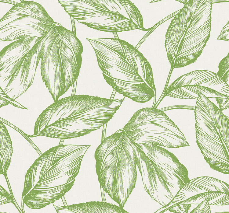 Seabrook Designs Beckett Sketched Leaves Apple Green Wallpaper SC20004