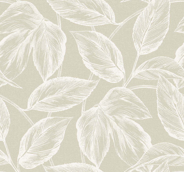 Seabrook Designs Beckett Sketched Leaves Oat Wallpaper SC20005