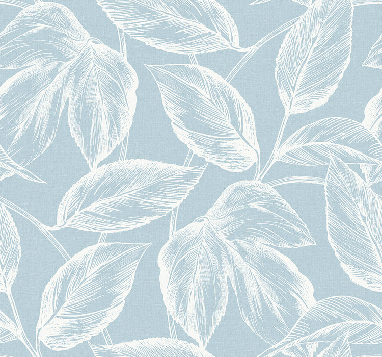 Seabrook Designs Beckett Sketched Leaves Baby Blue Wallpaper SC20022