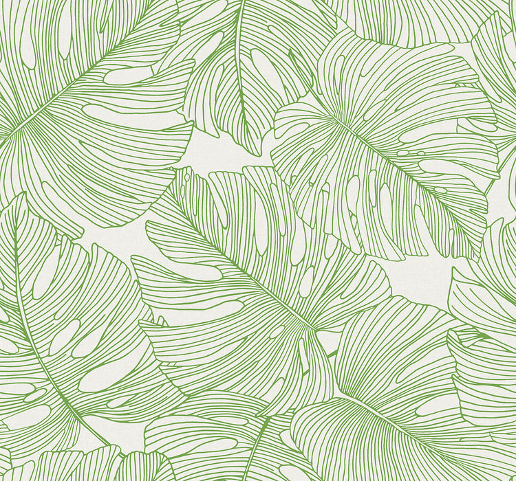 Seabrook Designs Tarra Monstera Leaf Hill Green Wallpaper SC20204