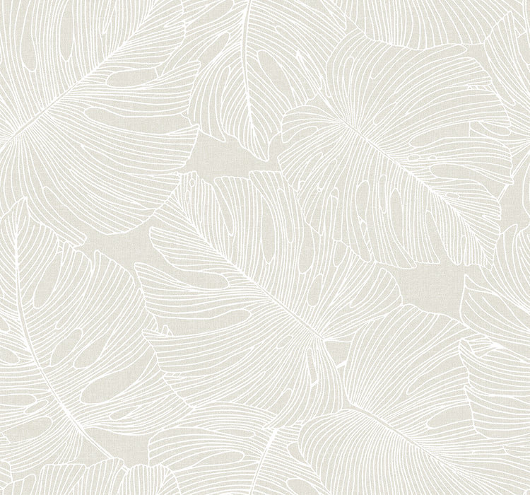 Seabrook Designs Tarra Monstera Leaf White Sand Wallpaper SC20205