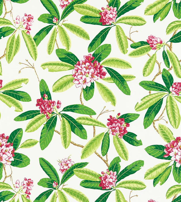 Scalamandre Rhododendron - Outdoor Fuschia Fabric SC 000116454M