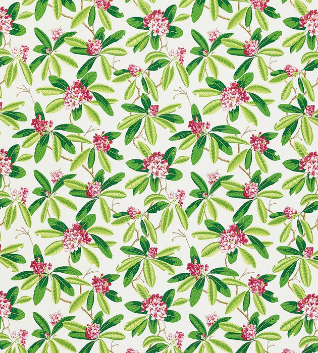 Scalamandre Rhododendron - Outdoor Fuschia Fabric SC 000116454M