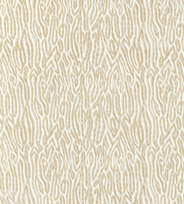 Scalamandre Faux Bois Velvet Fog Fabric SC 000127076