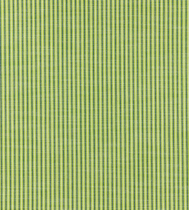 Scalamandre Tisbury Stripe Fern Fabric SC 000127109