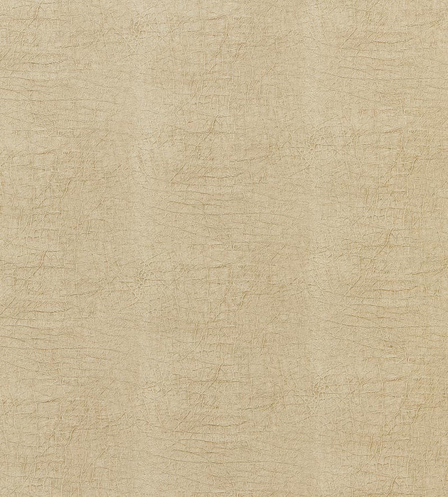 Scalamandre Cary Flax Fabric SC 000127261