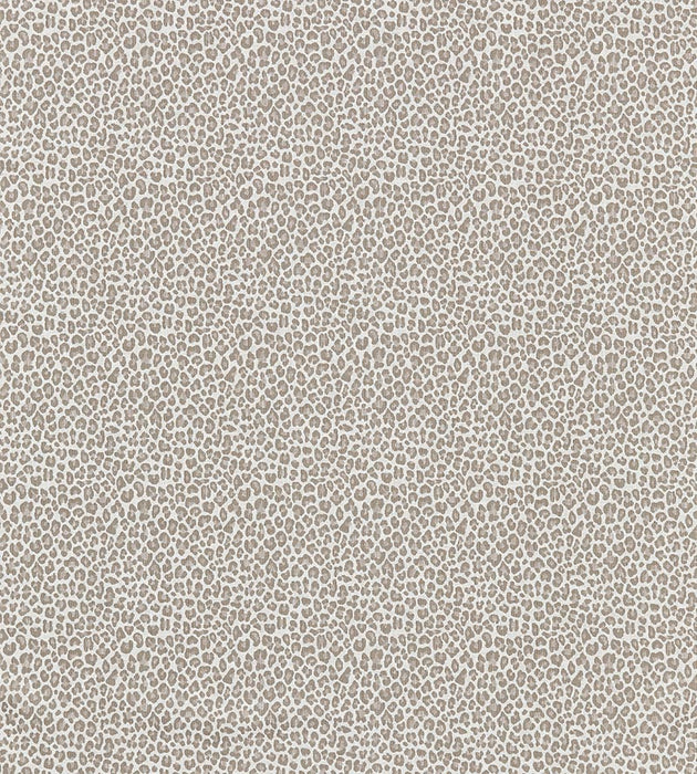 Scalamandre Backyard Bengal Limestone Fabric SC 000127316