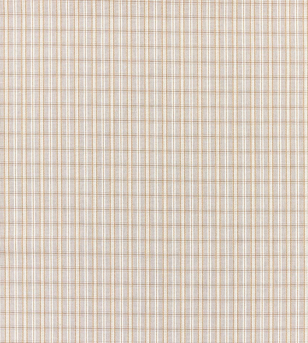 Scalamandre Check Please - Outdoor Birch Fabric SC 000127318