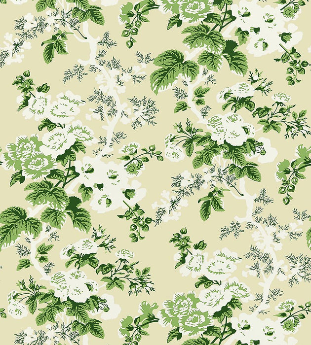 Scalamandre Ascot Floral Print Verdure Wallpaper Sample SC 0001WP88372