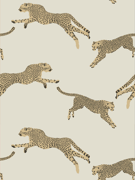 Scalamandre Leaping Cheetah Dune Wallpaper Sample SC 0001WP88449