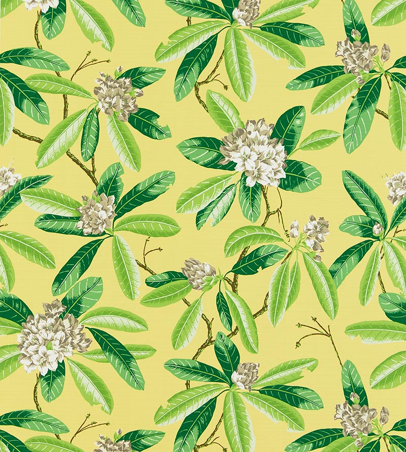 Scalamandre Rhododendron - Outdoor Pineapple Fabric SC 000216454M