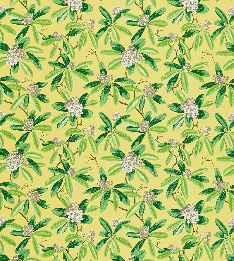 Scalamandre Rhododendron - Outdoor Pineapple Fabric SC 000216454M