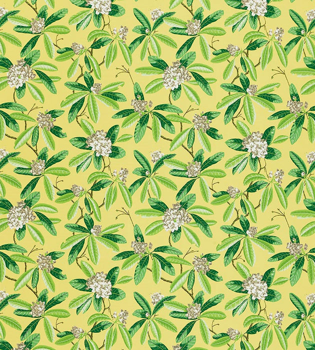 Scalamandre Rhododendron - Outdoor Pineapple Fabric SC 000216454M