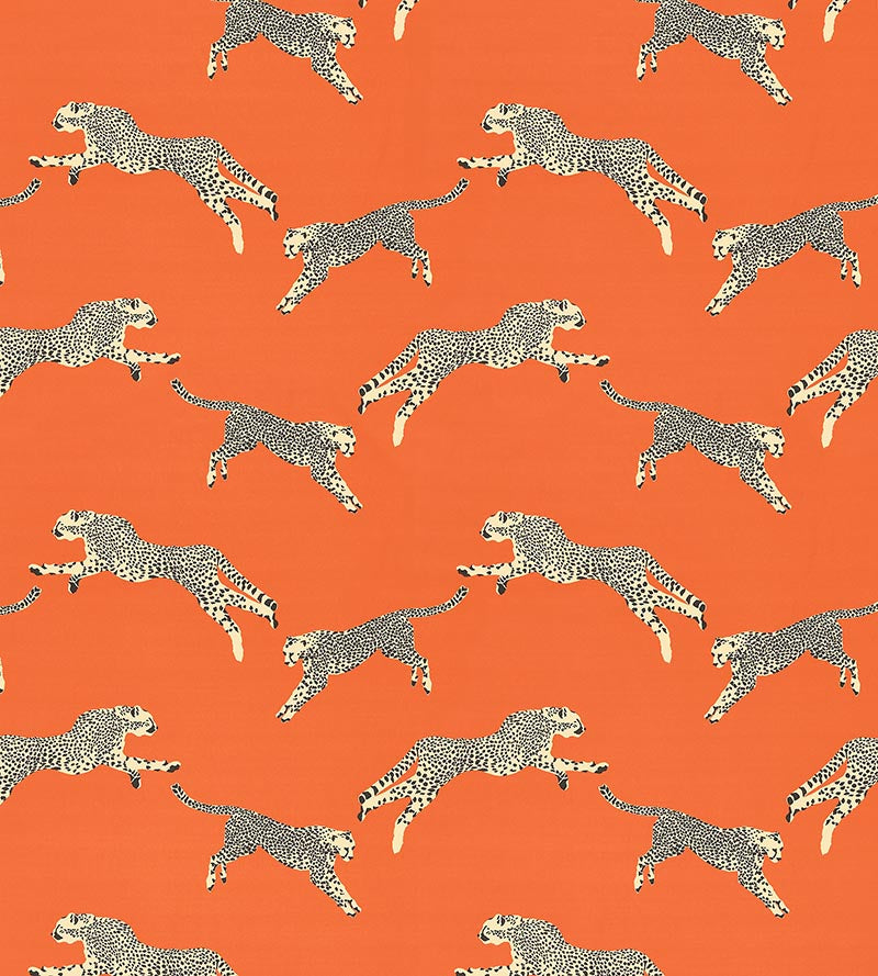 Scalamandre Leaping Cheetah Cotton Print Clementine Fabric SC 000216634