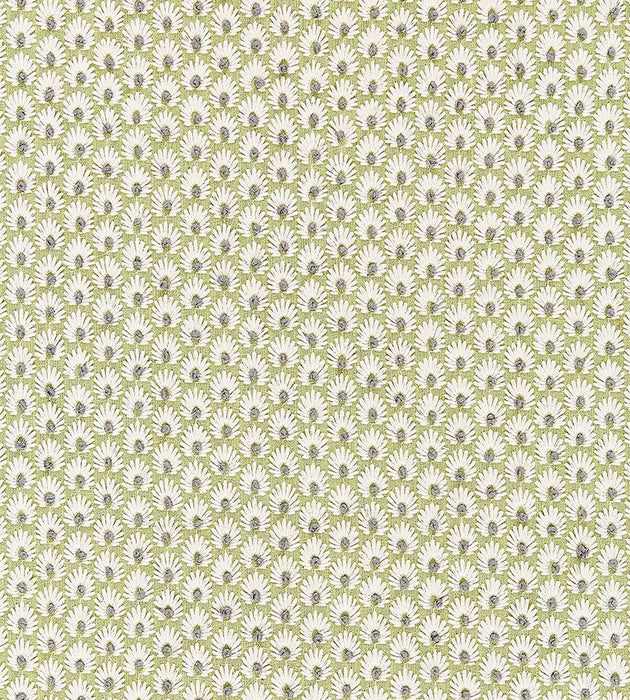 Scalamandre Fleur Embroidery Celery Fabric SC 000227123